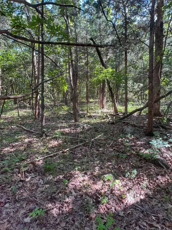 Flemington, MO 65650,000 S. 124th RD