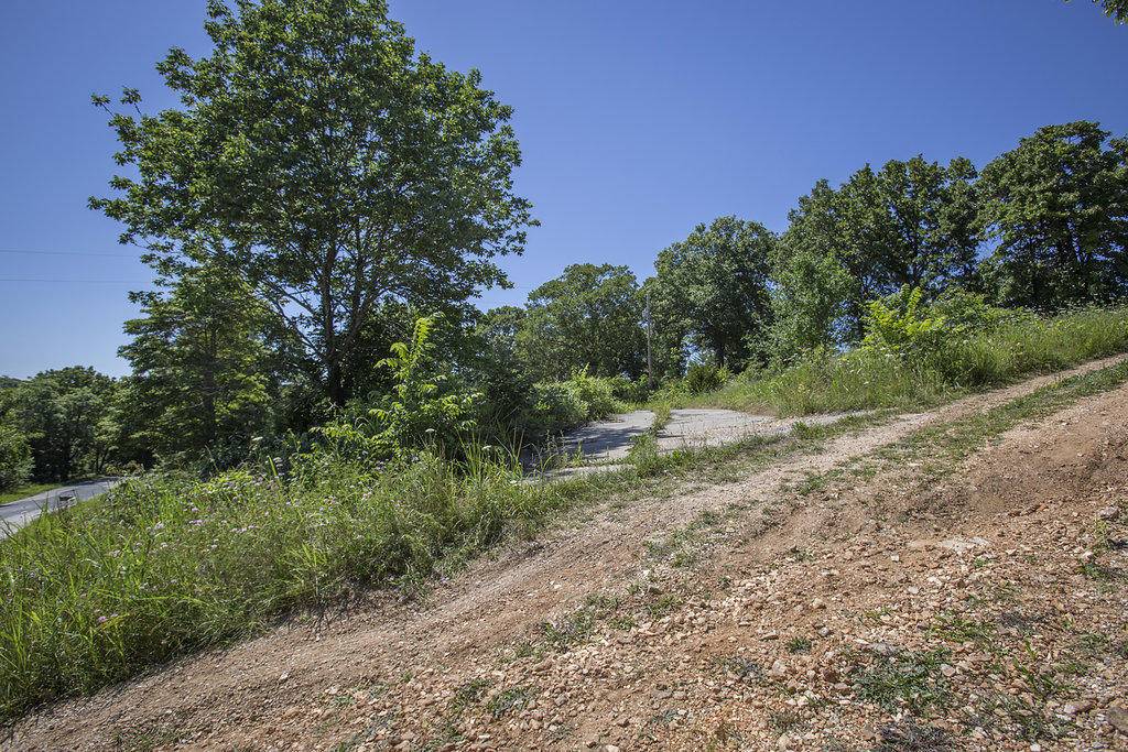 Ozark, MO 65721,411 Steinert LN #3 Acre Lot