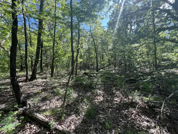 Goodman, MO 64843,000 Temperance Valley RD