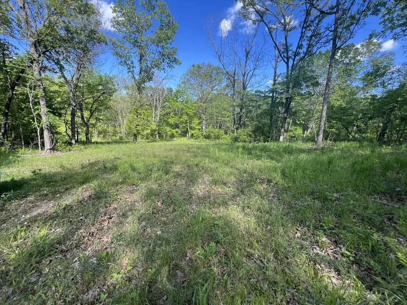 000 Temperance Valley RD, Goodman, MO 64843
