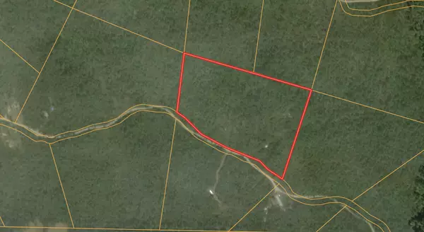 Birch Tree, MO 65438,10412 Stella Way