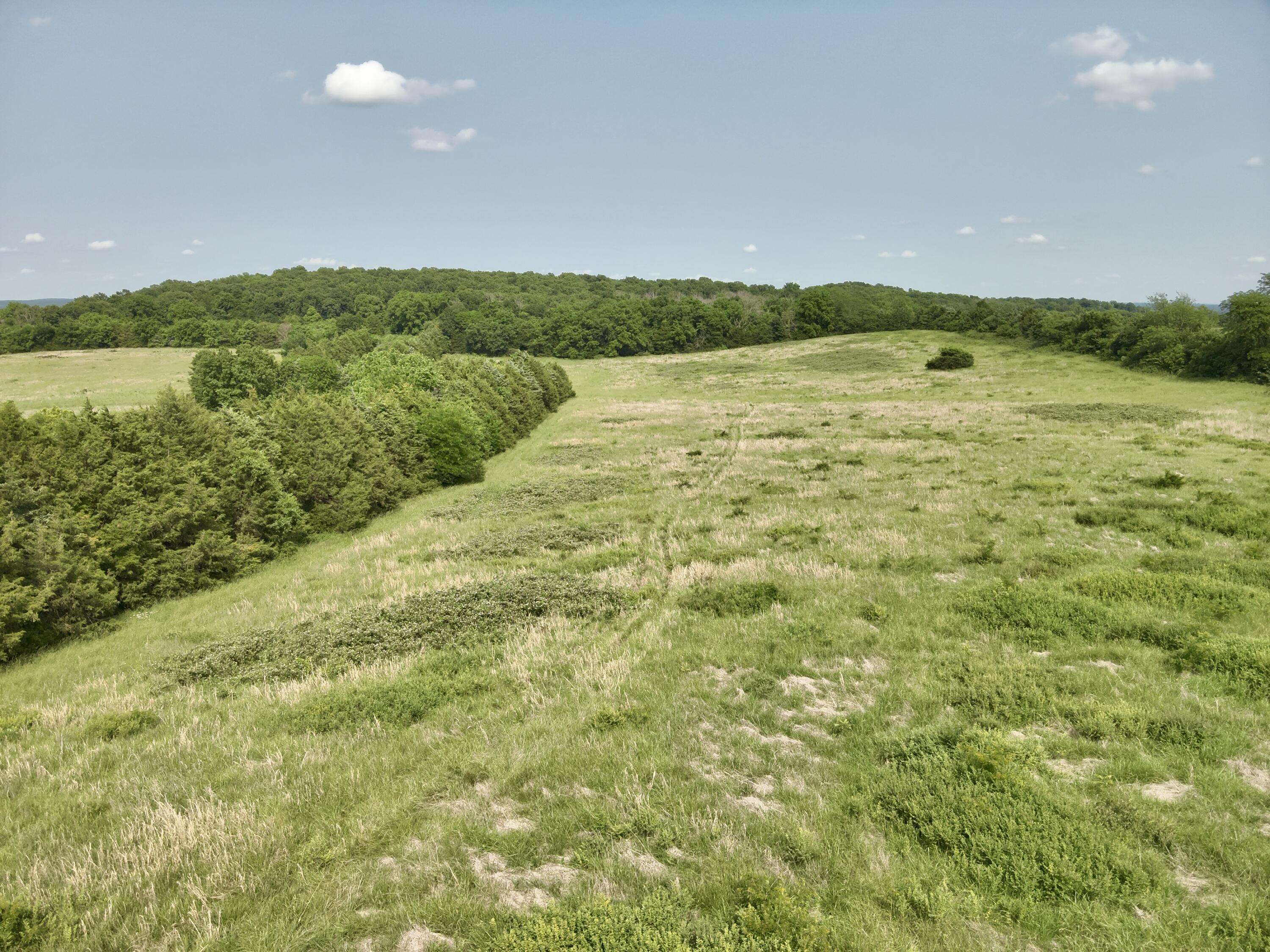 Bolivar, MO 65613,004 E 500 RD