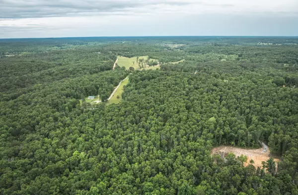 Licking, MO 65542,12828 Cadle RD