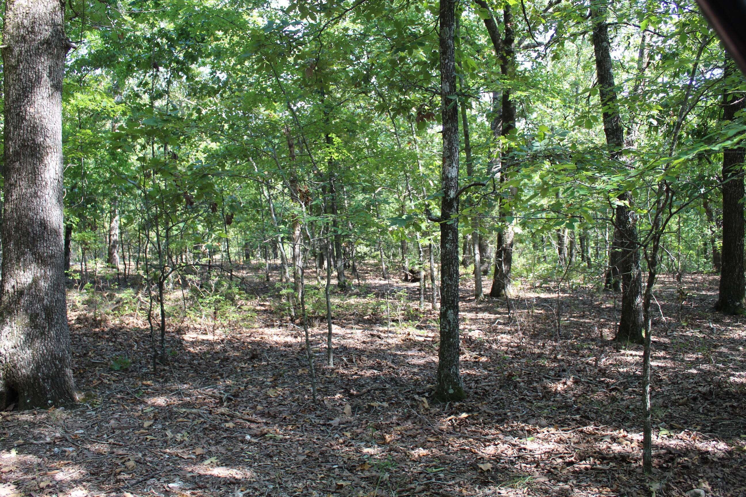 Protem, MO 65733,000 Lakeshore RD #Lot 41