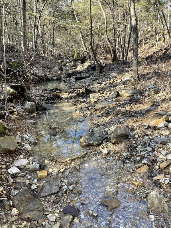 Gainesville, MO 65655,000 Us Hwy 160 #Section A & B