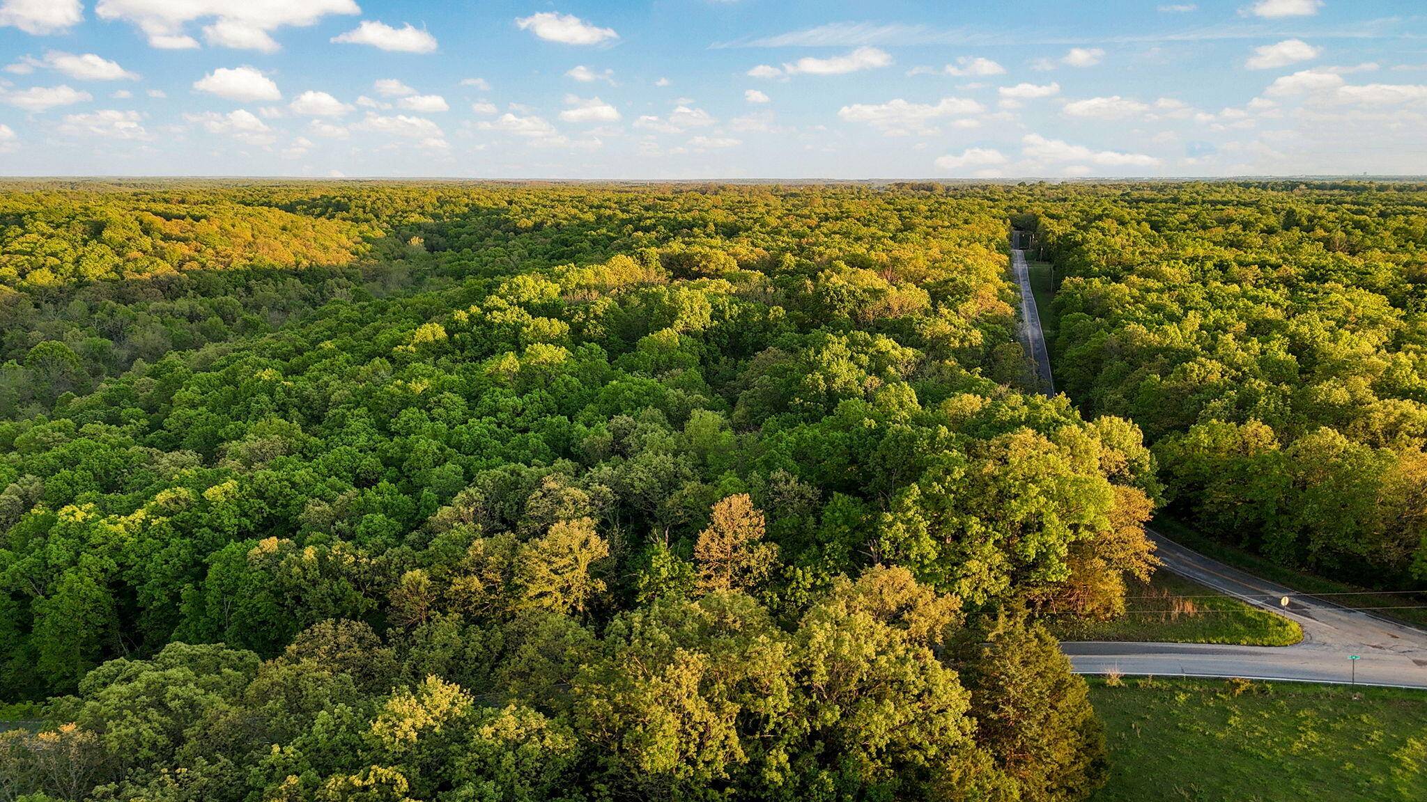 Fair Grove, MO 65648,Tbd N Farm Rd 181