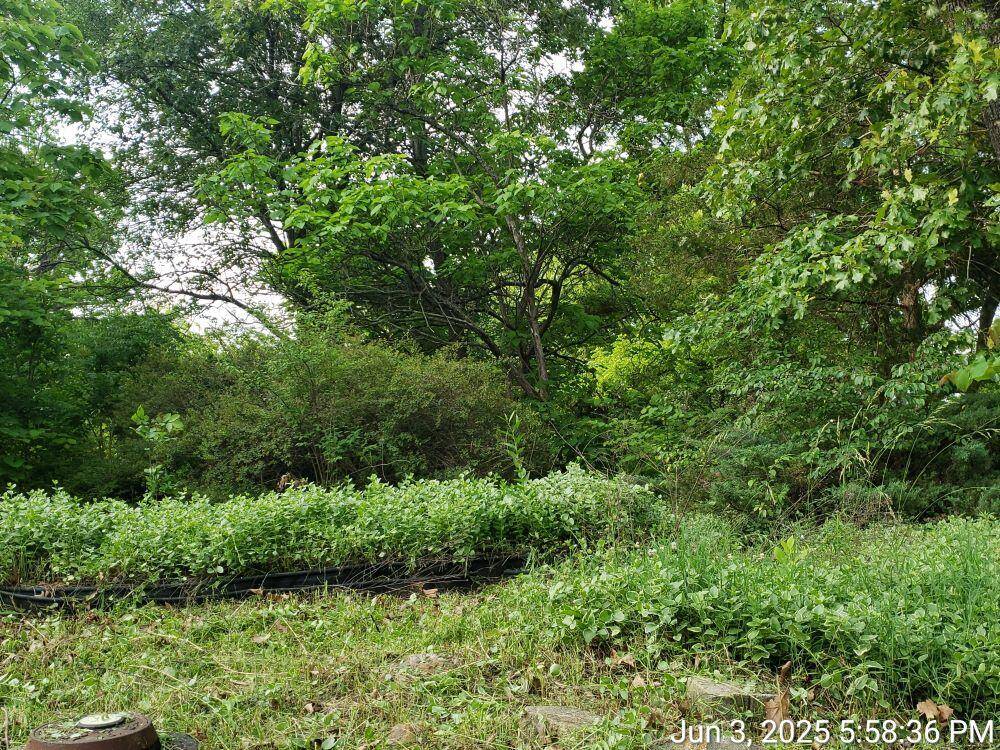 Willow Springs, MO 65793,125 Hill ST