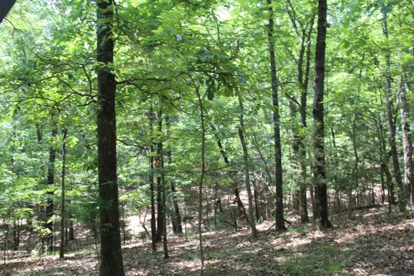 Theodosia, MO 65761,000 Forrest ST #Block 7 Lot 51