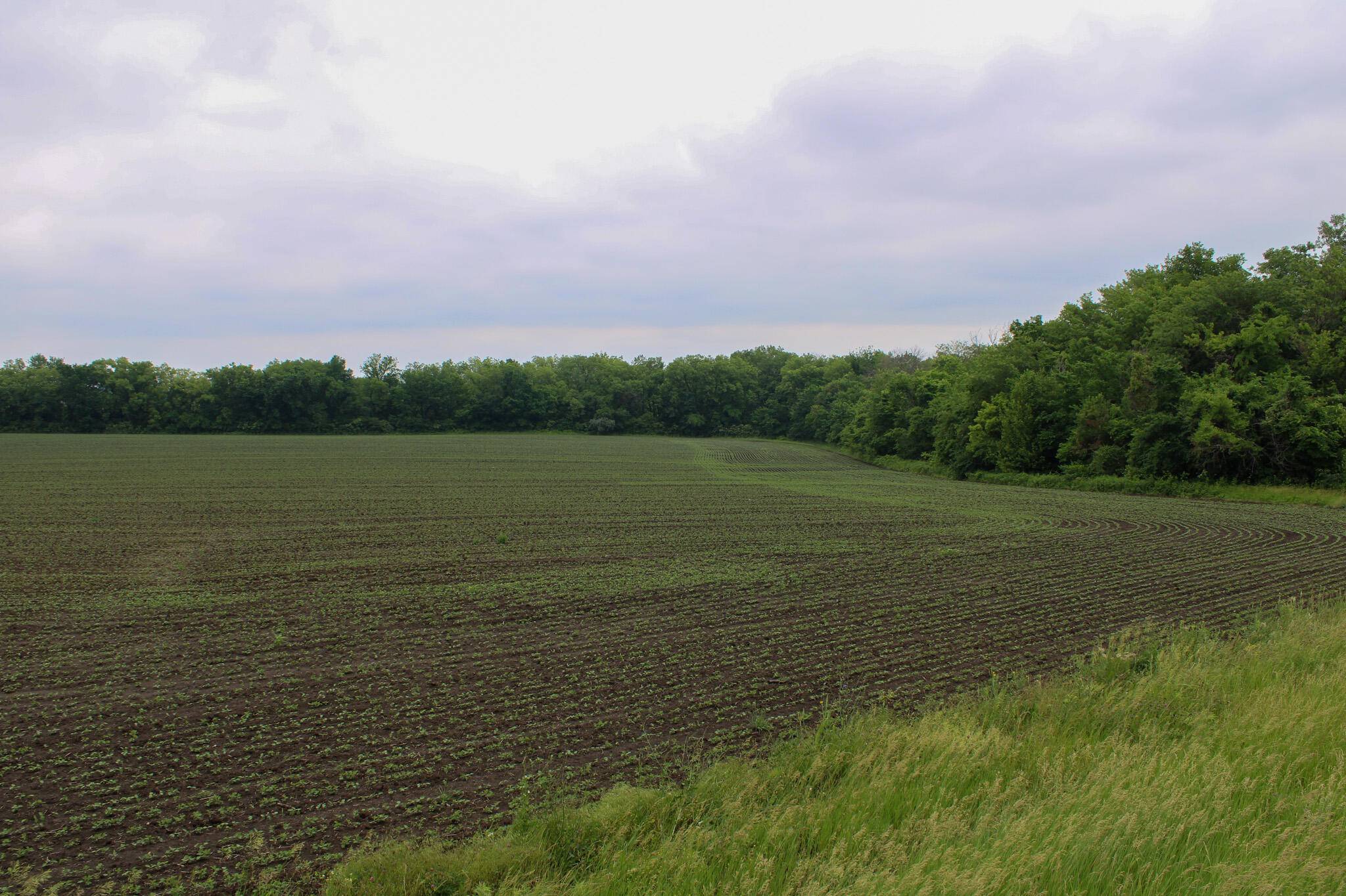 Centerview, MO 64019,000 NW 375th RD