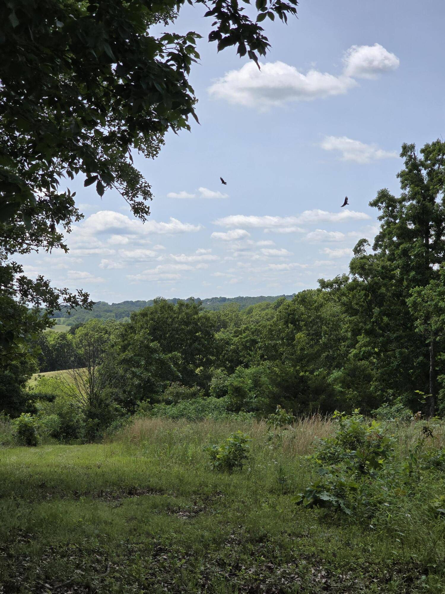 Buffalo, MO 65622,5 Cowboy Trail