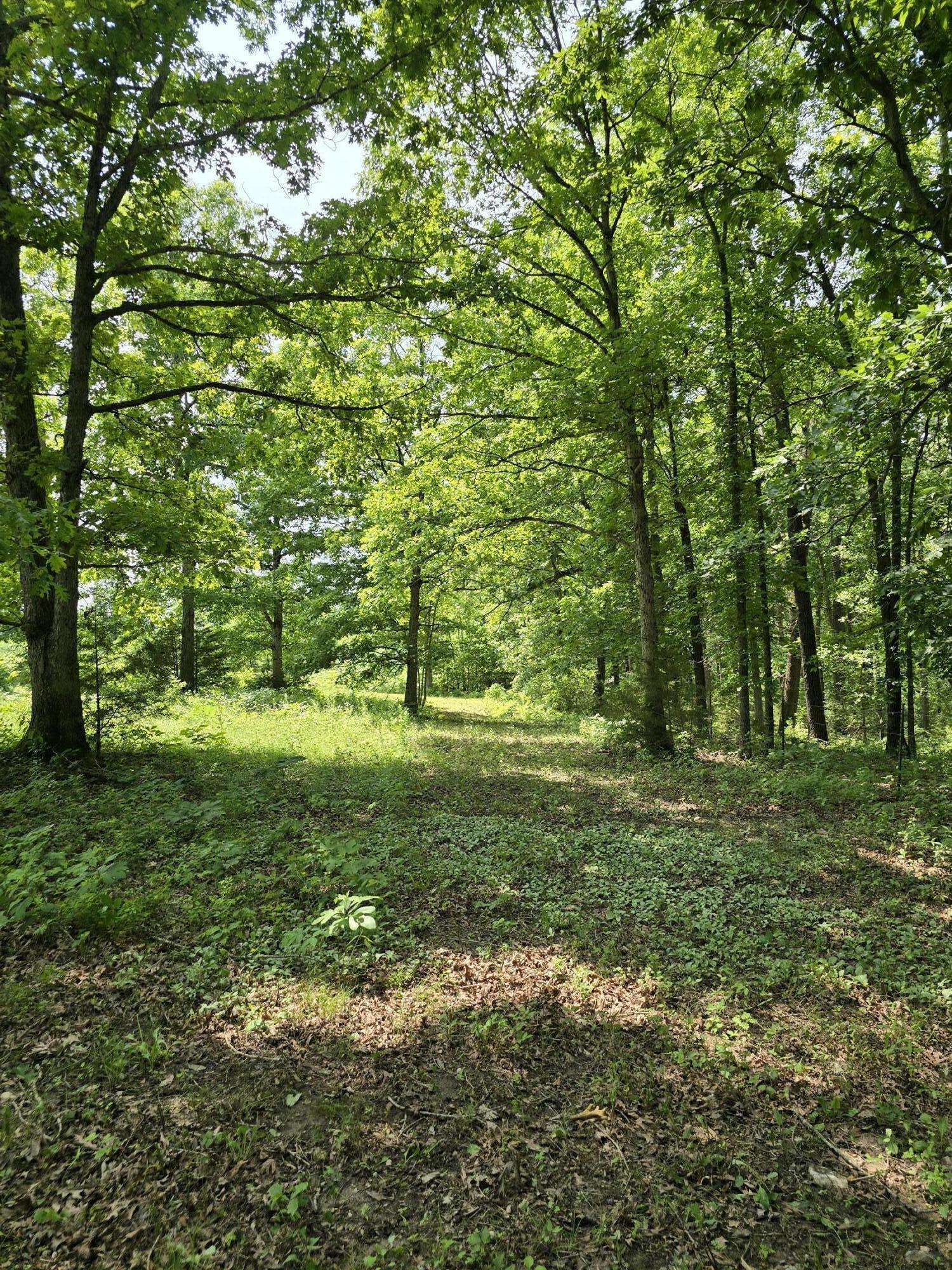 Buffalo, MO 65622,5 Cowboy Trail