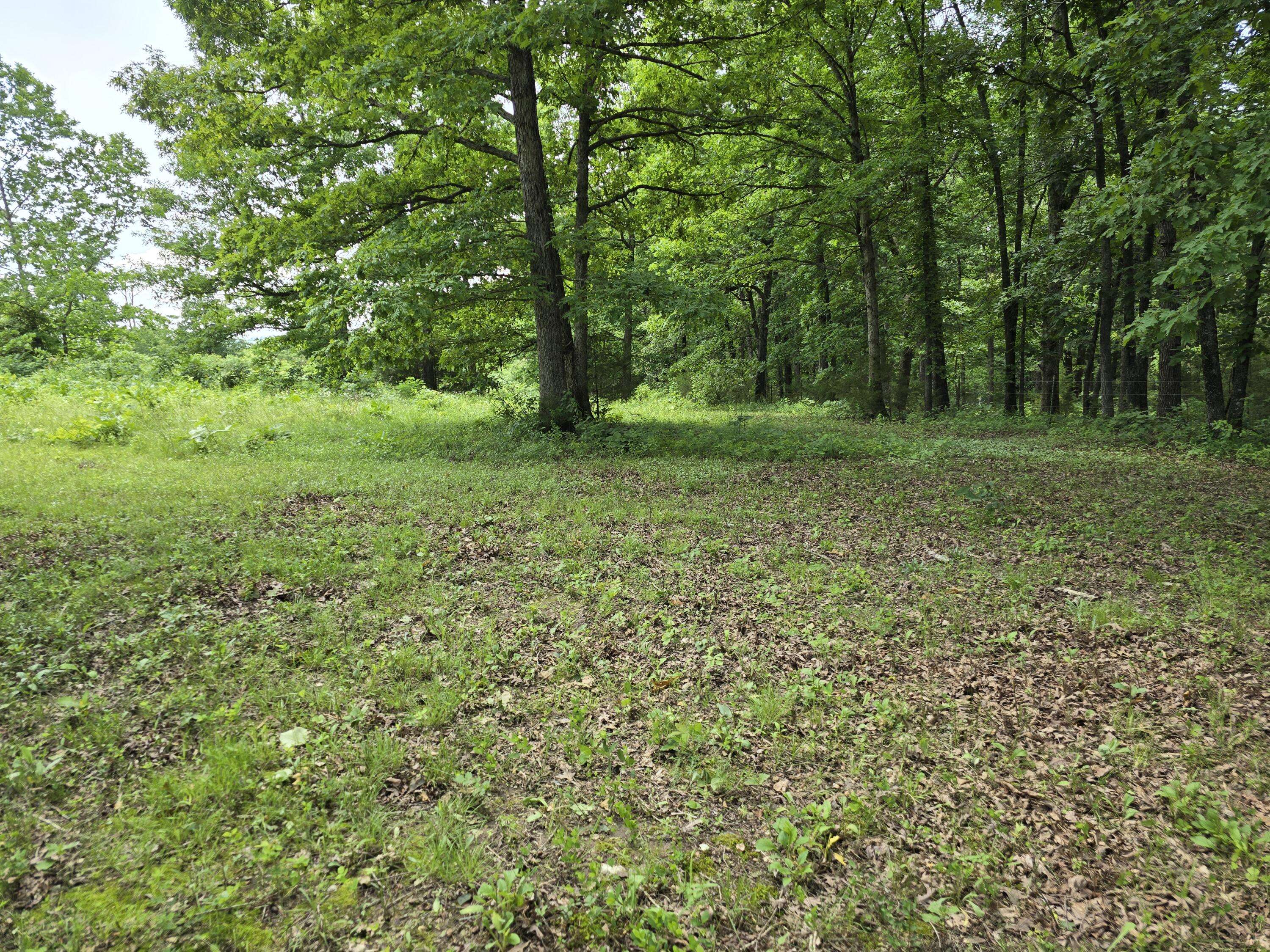 Buffalo, MO 65622,5 Cowboy Trail