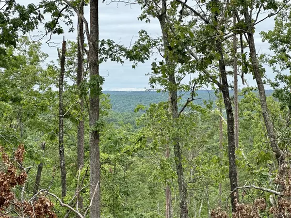 Ellington, MO 63638,000 County Road 320