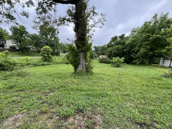 Thayer, MO 65791,Tbd North 5th Street