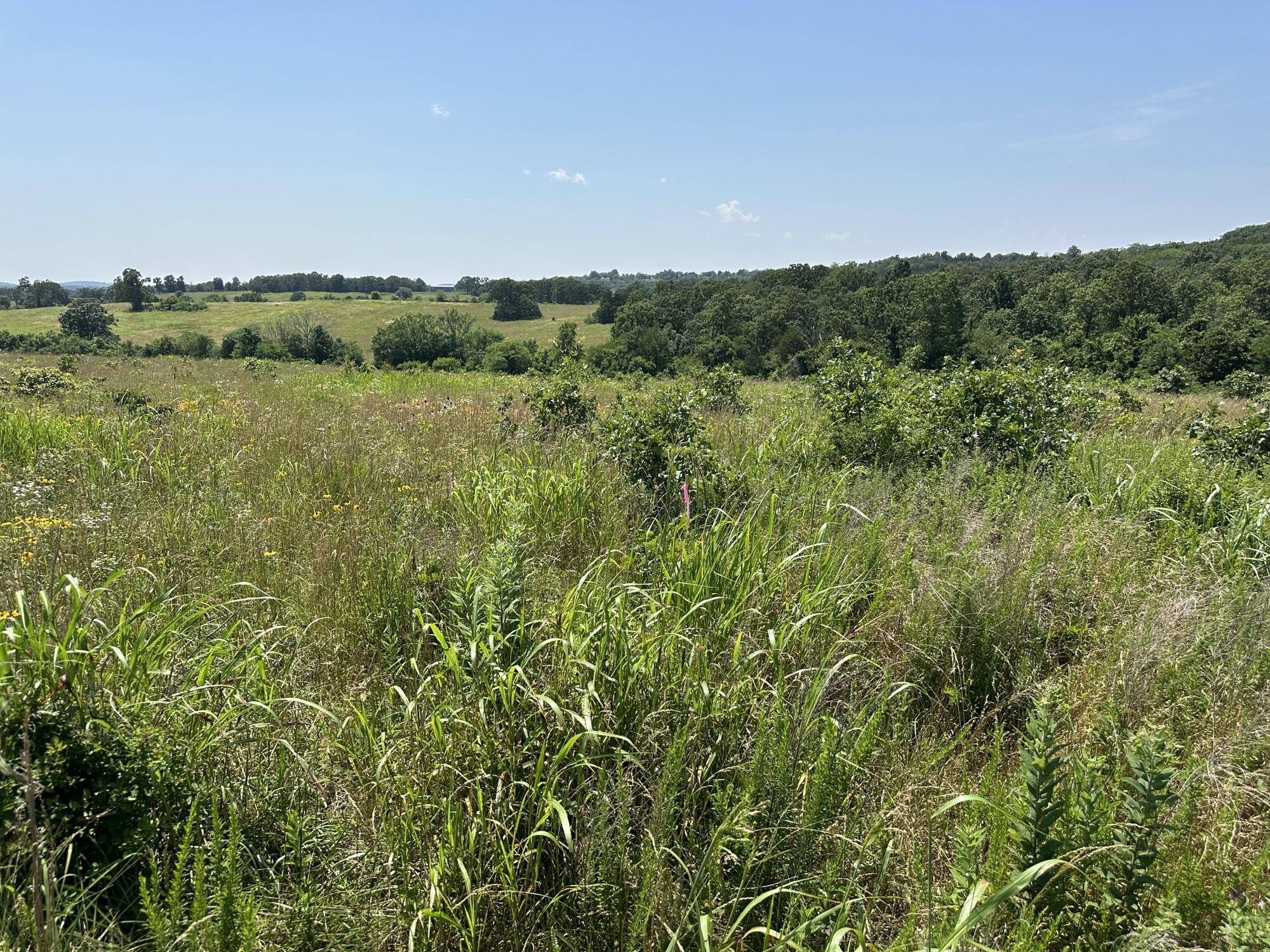 Theodosia, MO 65761,2702 Us Hwy 160