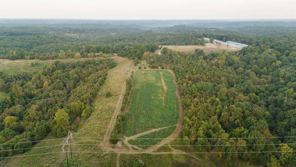 Noel, MO 64854,0000 Low Gap Road