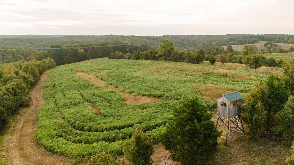0000 Low Gap Road, Noel, MO 64854