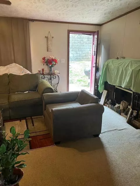 Rockaway Beach, MO 65740,196 Holly CIR