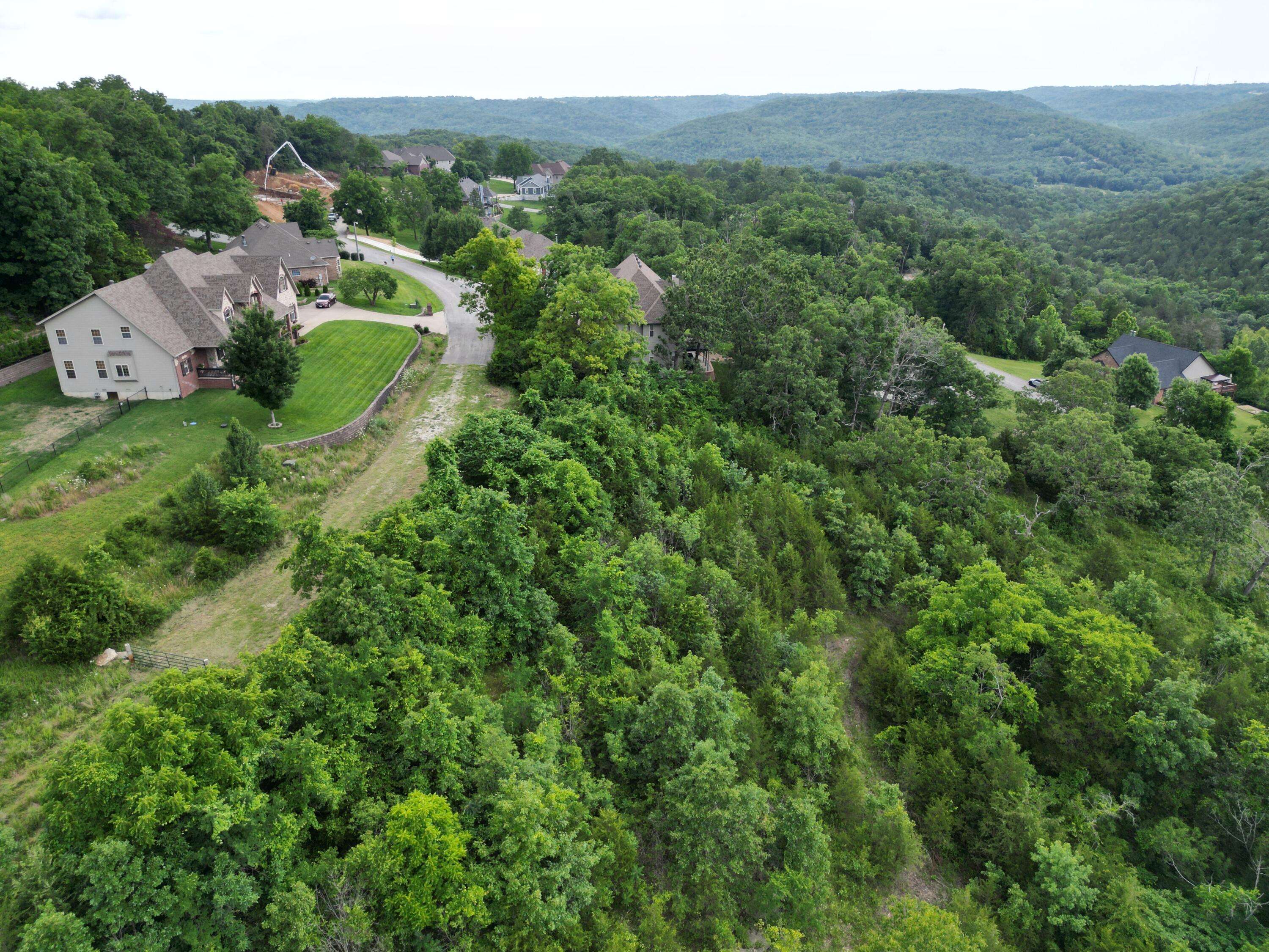 Walnut Shade, MO 65771,259 Jacks Hollow RD