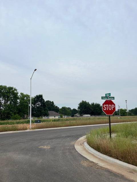 Mt Vernon, MO 65712,Lot 32 South West Street