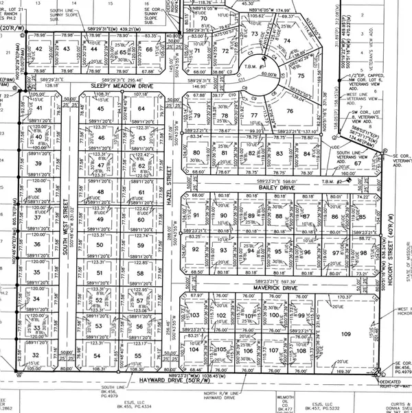 Lot 39 South West Street, Mt Vernon, MO 65712