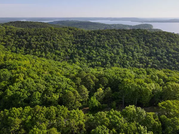 Blue Eye, MO 65611,000 Mountain Estate Drive