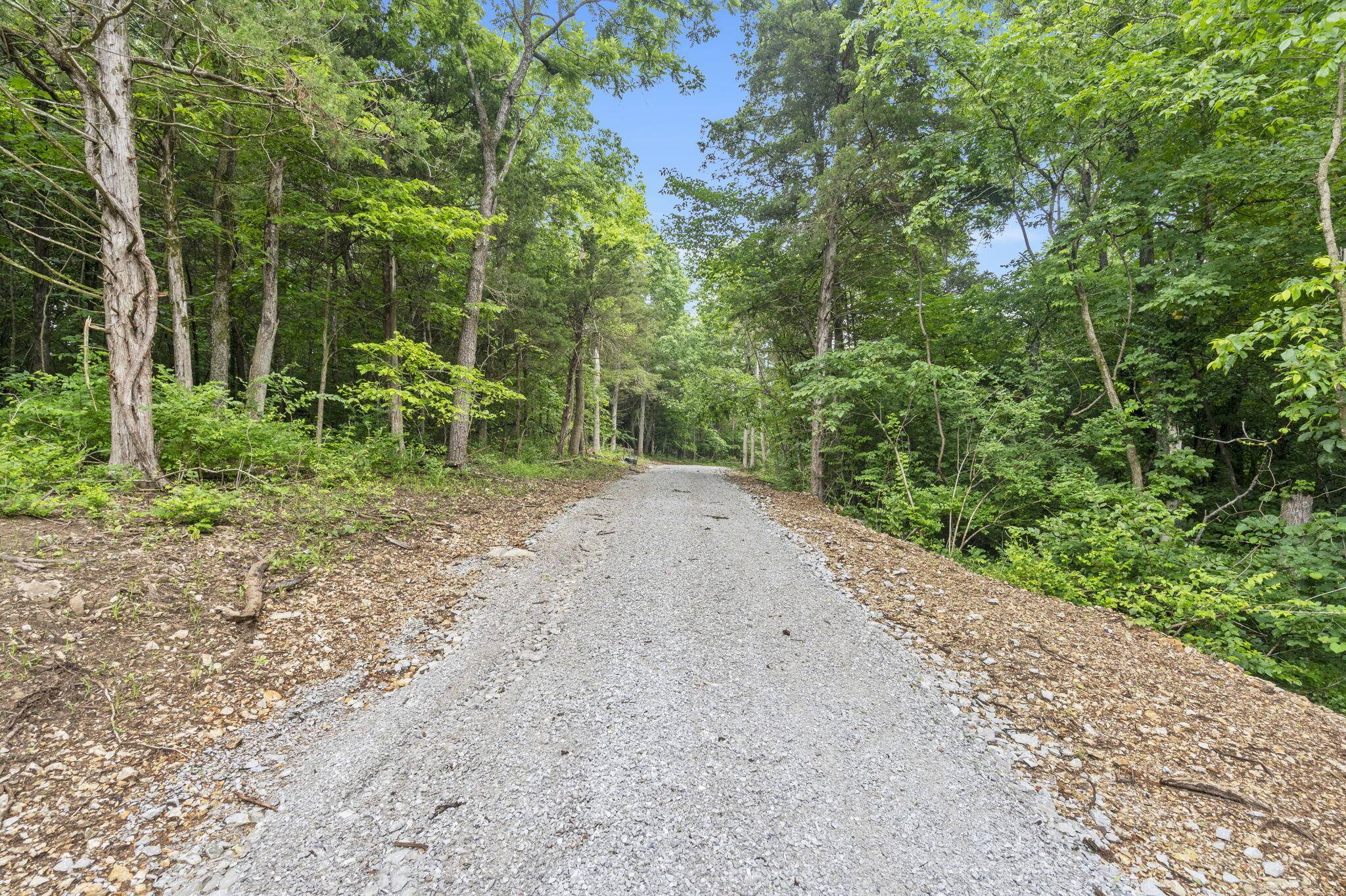 Brookline, MO 65619,000 W Old Limey RD