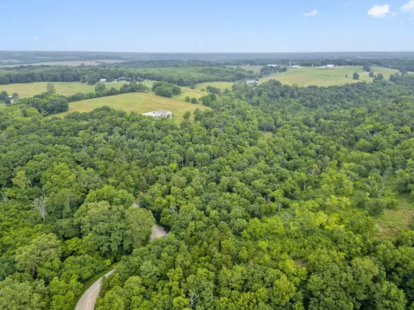000 W Old Limey RD, Brookline, MO 65619