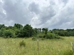 000 Lot 2 Sheridan RD, Fair Grove, MO 65648