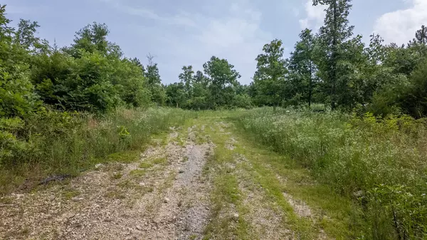 Birch Tree, MO 65438,10916 Stella Way