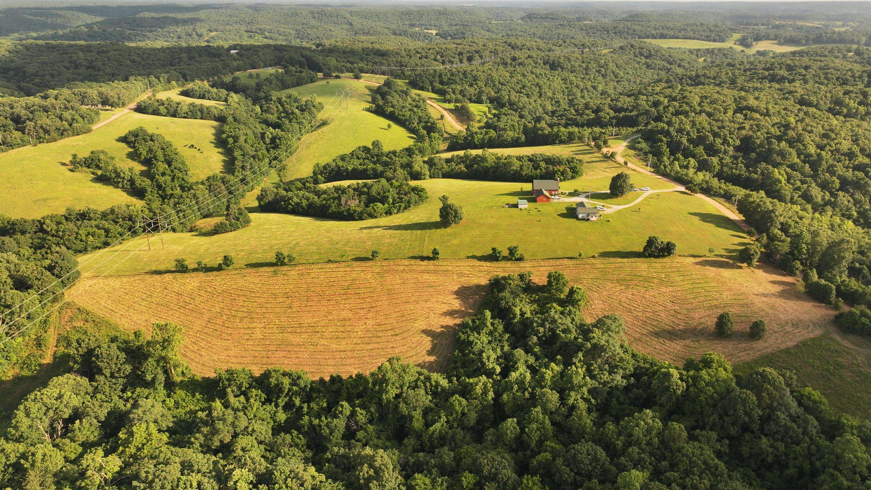 Tbd Low Gap Road, Noel, MO 64854