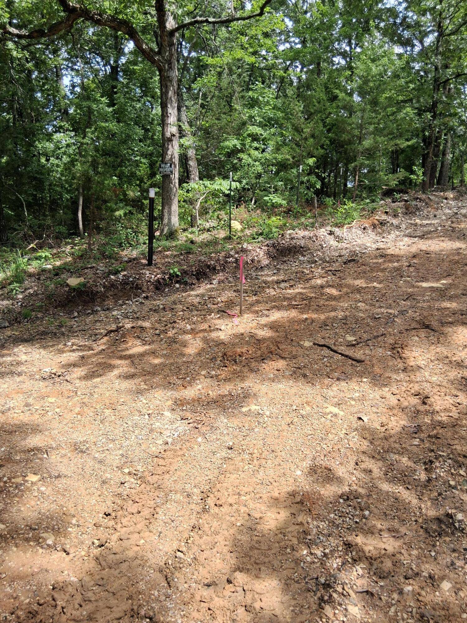 Dora, MO 65637,Tbd County Road 350