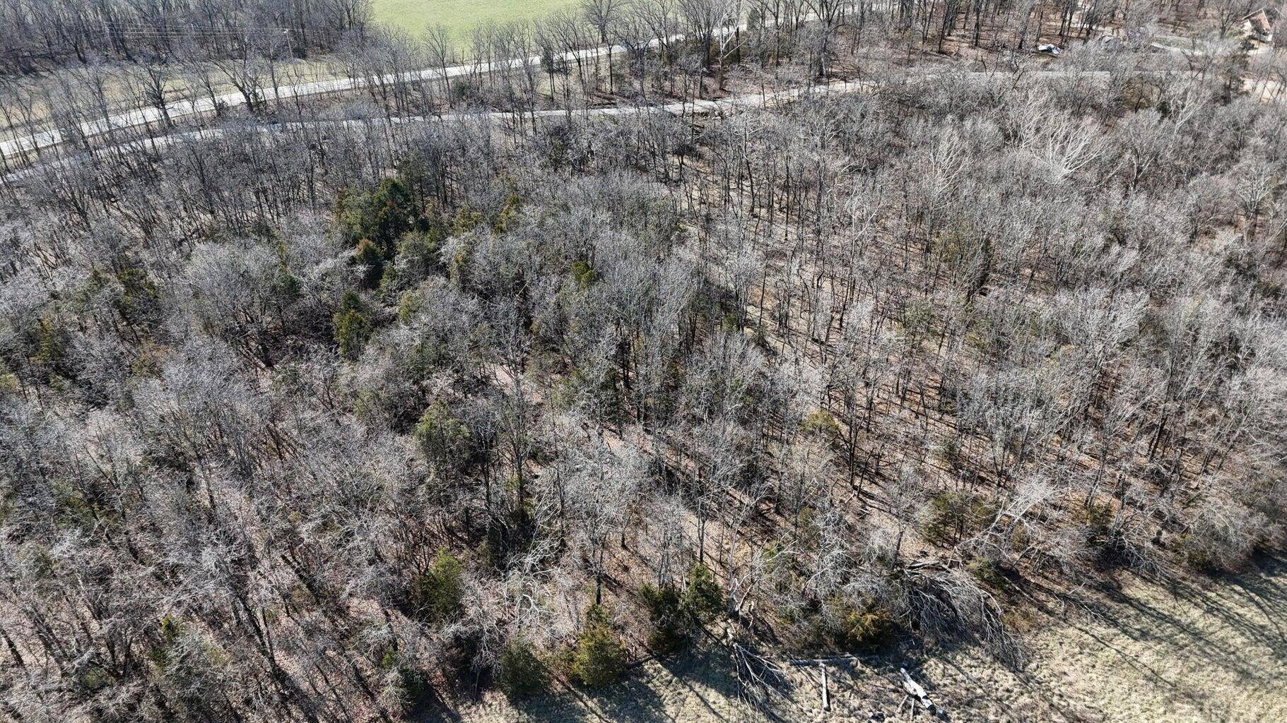 Hartville, MO 65667,Tract 3 38 Highway