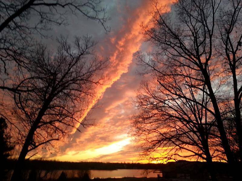 West Plains, MO 65775,4808 County Road 8940