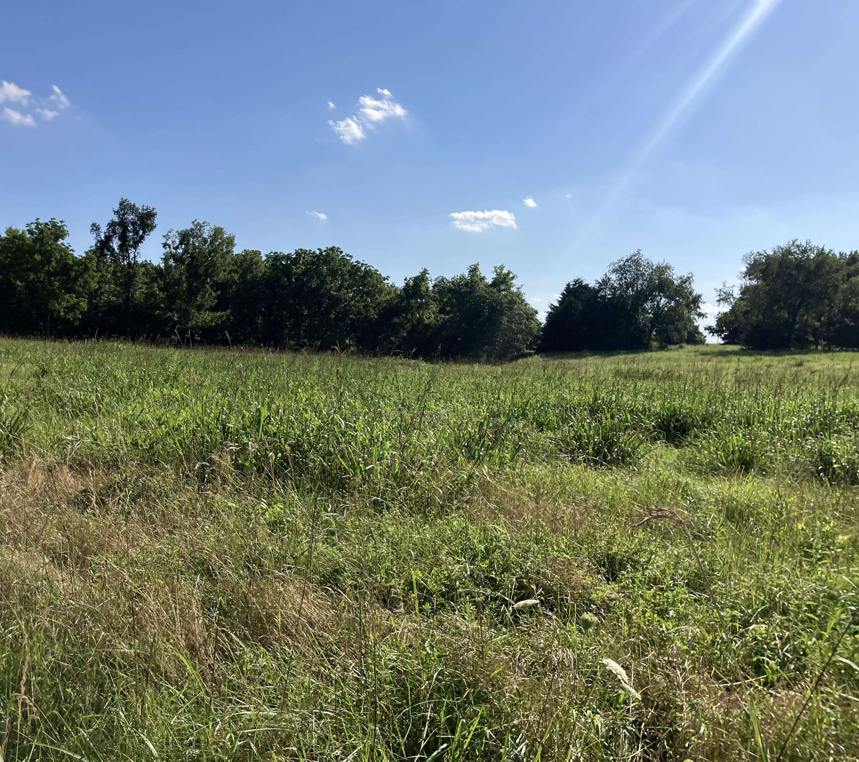 Seneca, MO 64865,Xxx Jute RD