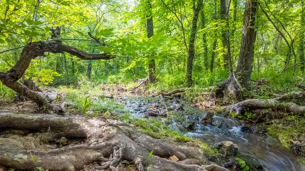 Mountain Home, AR 72653,2048 County Road 27