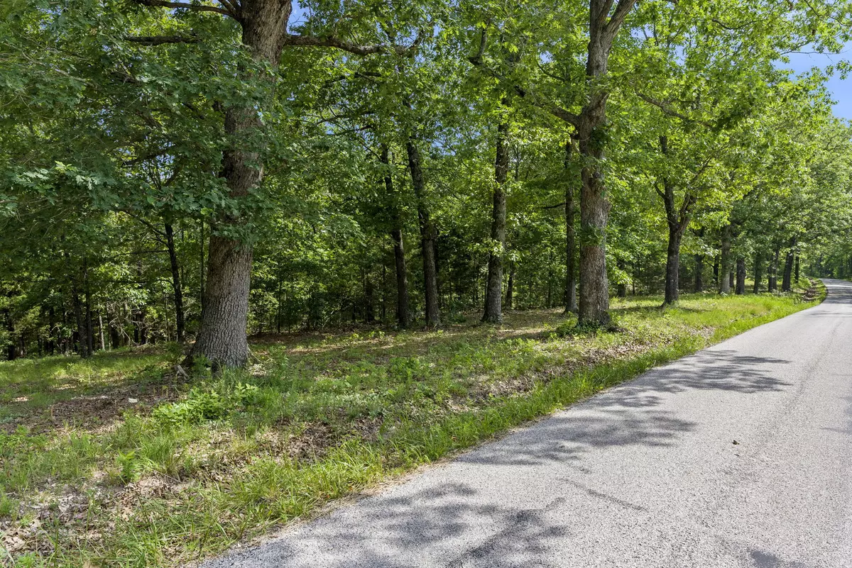 Branson West, MO 65737,Tbd Branson Mtn Village