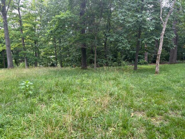 Lampe, MO 65681,000 Lots 3,31,32 Mill Creek Shores