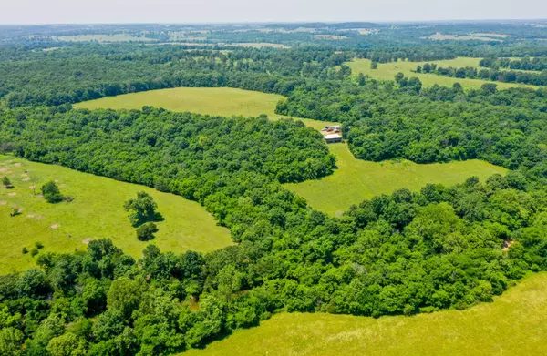 Halfway, MO 65663,000 S 196th Road