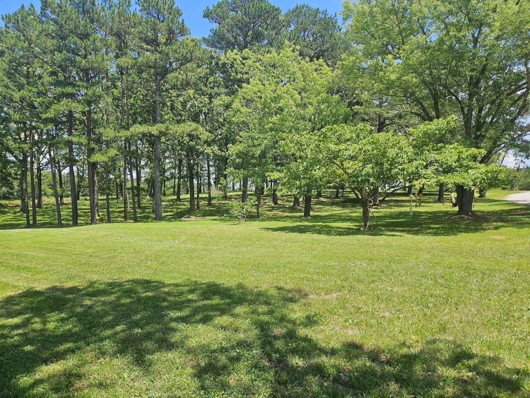 Hartshorn, MO 65479,6029 Highway K
