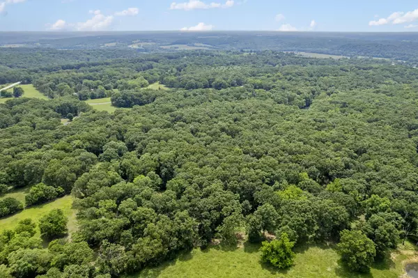 Strafford, MO 65757,Tract 8b N Farm Road 245