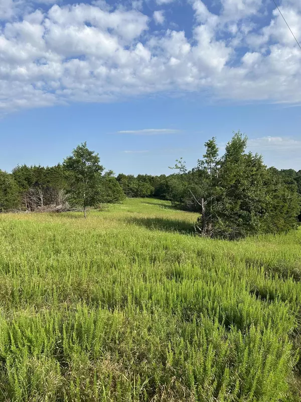 Cape Fair, MO 65624,000 Terrace LN