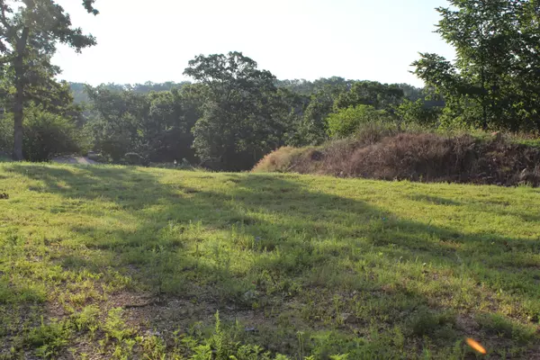 Branson, MO 65616,000 Woodland CT
