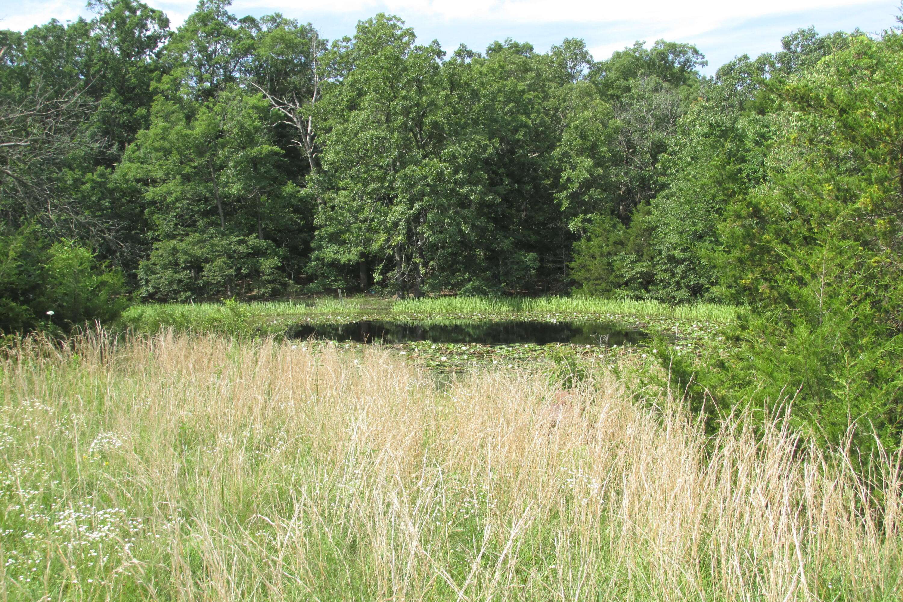 1 Owl TRL, Conway, MO 65632