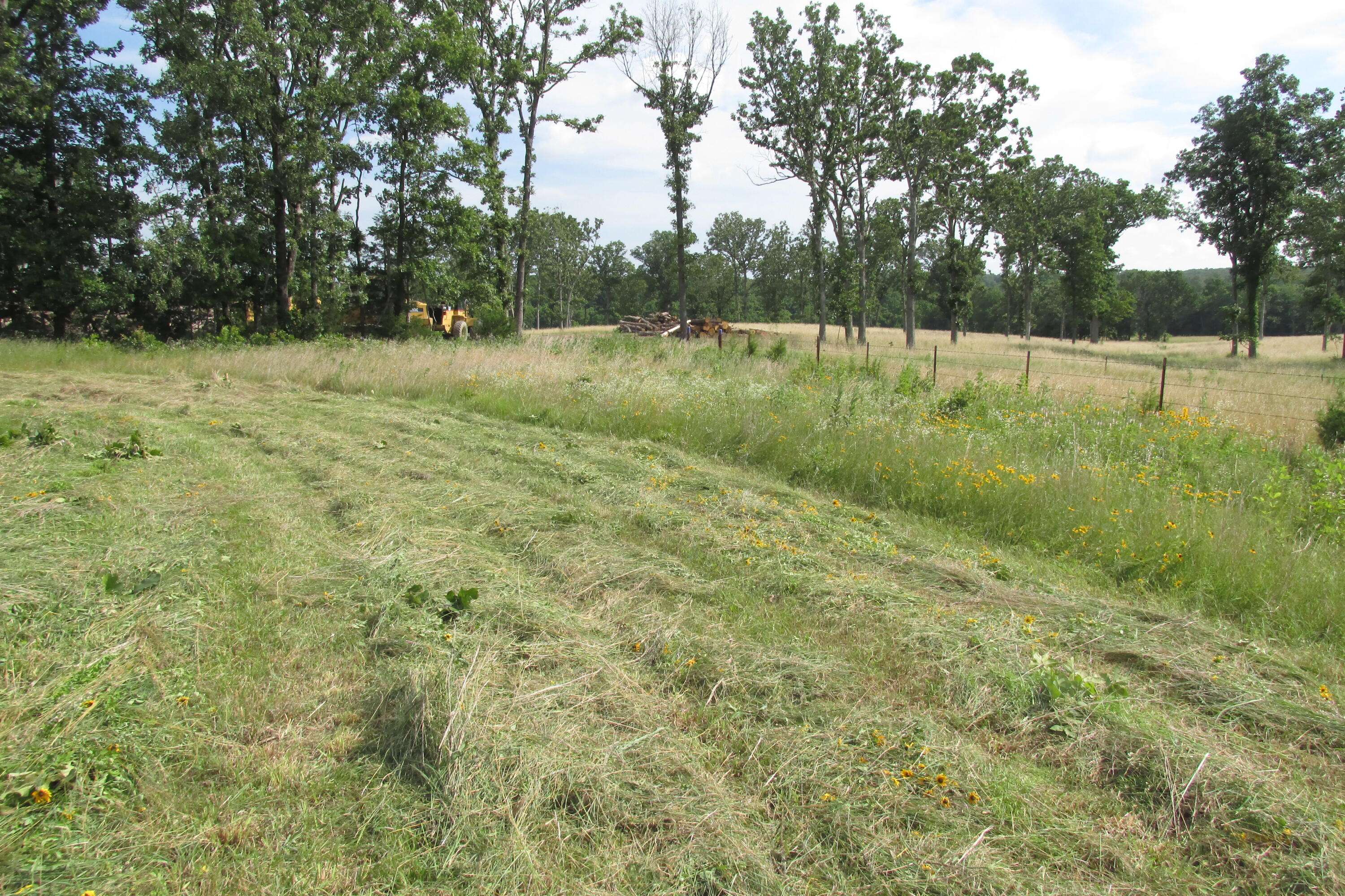 2 Owl TRL, Conway, MO 65632
