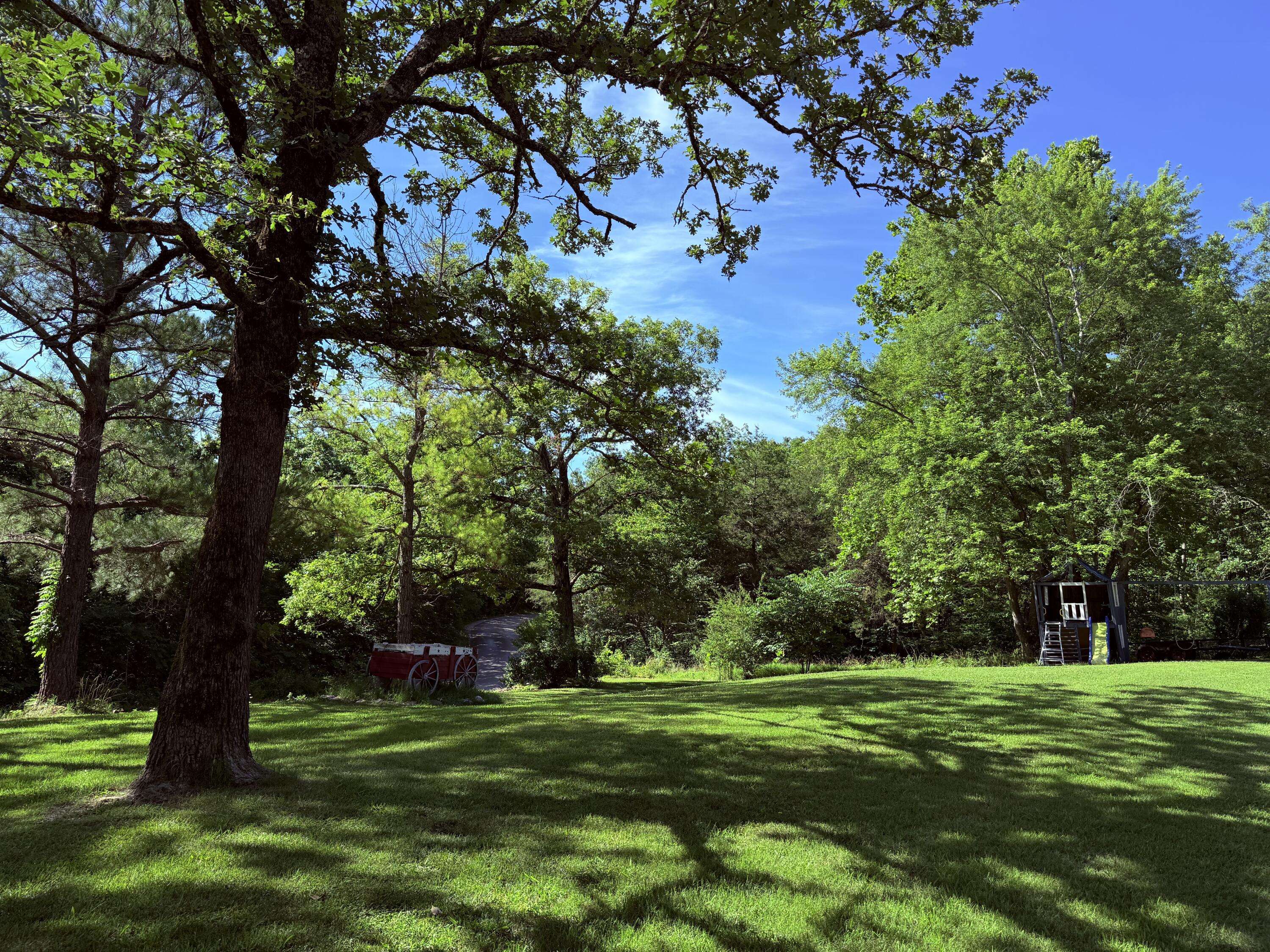 Oldfield, MO 65720,361 Boston RD