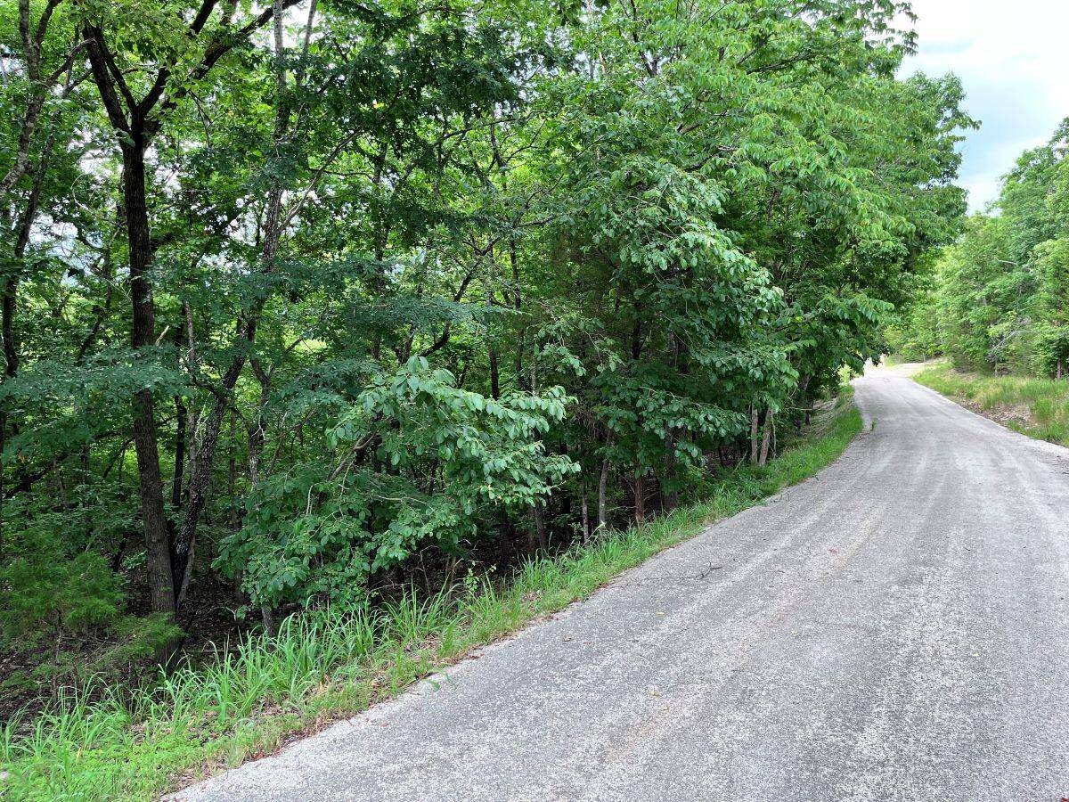 Cedar Creek, MO 65627,Tbd Copperhead RD