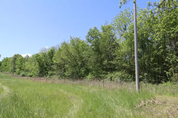 Stockton, MO 65785,0000 E 1300 RD ##1