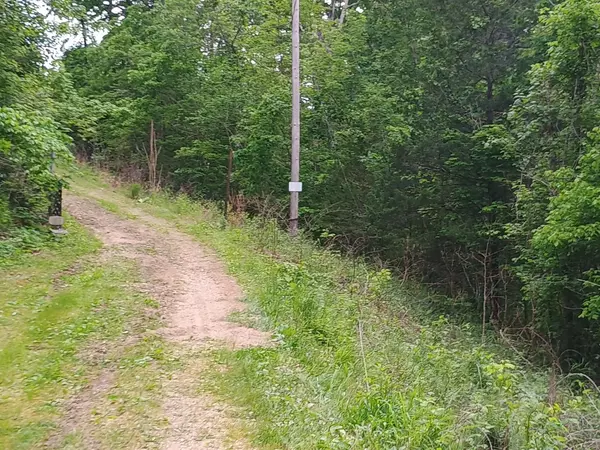 Licking, MO 65542,16680 Cantrell DR