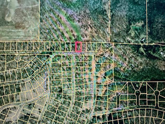 2414 Peaceful Hollow DR, Horseshoe Bend, AR 72512